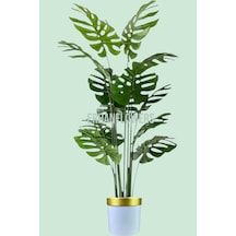 Yapay Ağaç Monstera Deve Tabanı Ağacı 180 Cm 16 Yaprak Beyaz Gold Saksıda Çok Renkli