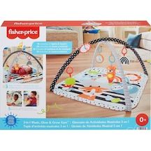 Hbp41 Fisher-price Neşeli Hayvanlar 3ü1 Arada Jimnastik Merkezi