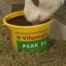 Vitamolix Peak 50 25 Kg