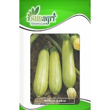 Sakız Kabak Tohumu 10 Gr. - 4 Saksı+torf Hediye