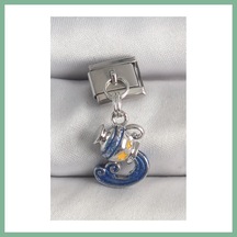 Bşkvirgo 316l Çelik Gümüş Renk Sallantı Kova Burç Model Nomination Charm Bsk2026