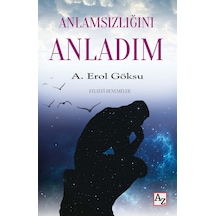 Anlamsızlığını Anladım - A. Erol Göksu