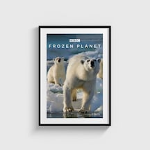 Frozen Planet Dizi Posteri Tablo Çerçeveli Poster Duvar Dekorasyonu Siyah Çerçeveli Tablo Siyah Çerçeveli Tablo Dn11d457sıyah