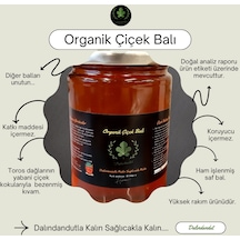 Dalındandut Yeni Mahsül Organik Çiçek Balı 850 G