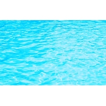 Kanki Pet 55 CM Akvaryum Arka Fon Yapıştırma 55x40 CM