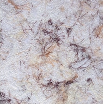 Ipek Sıva (112363606)