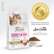 Felicia Kitten & Mother Düşük Tahıllı Kuzu Etli Yavru Kedi Maması 2 KG