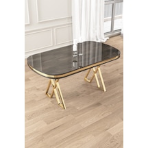 Canisa Lai Serisi 90x168 Lak Panel Sabit Antrasit İroni Renk Gold Ayak Masa Antrasit İroni Masa Gold Ayak