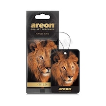 3 Adet Areon Wild Jungle King Oto Araç Kokusu Diğer
