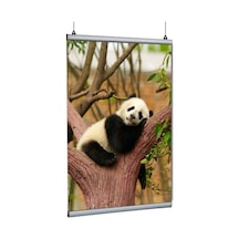 Poster Tutucu Clamp 60cm 5li Paket