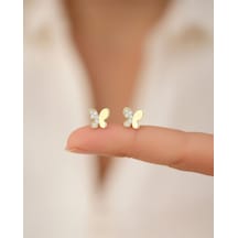 Minik Kelebek 14 Ayar Altın Küpe 72438747