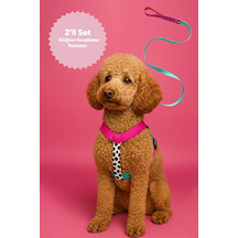 Çekiştirme Önleyici Ayarlanabilir H Tipi Köpek Göğüs Ve Gezdirme Tasması Seti Pembe, Xs