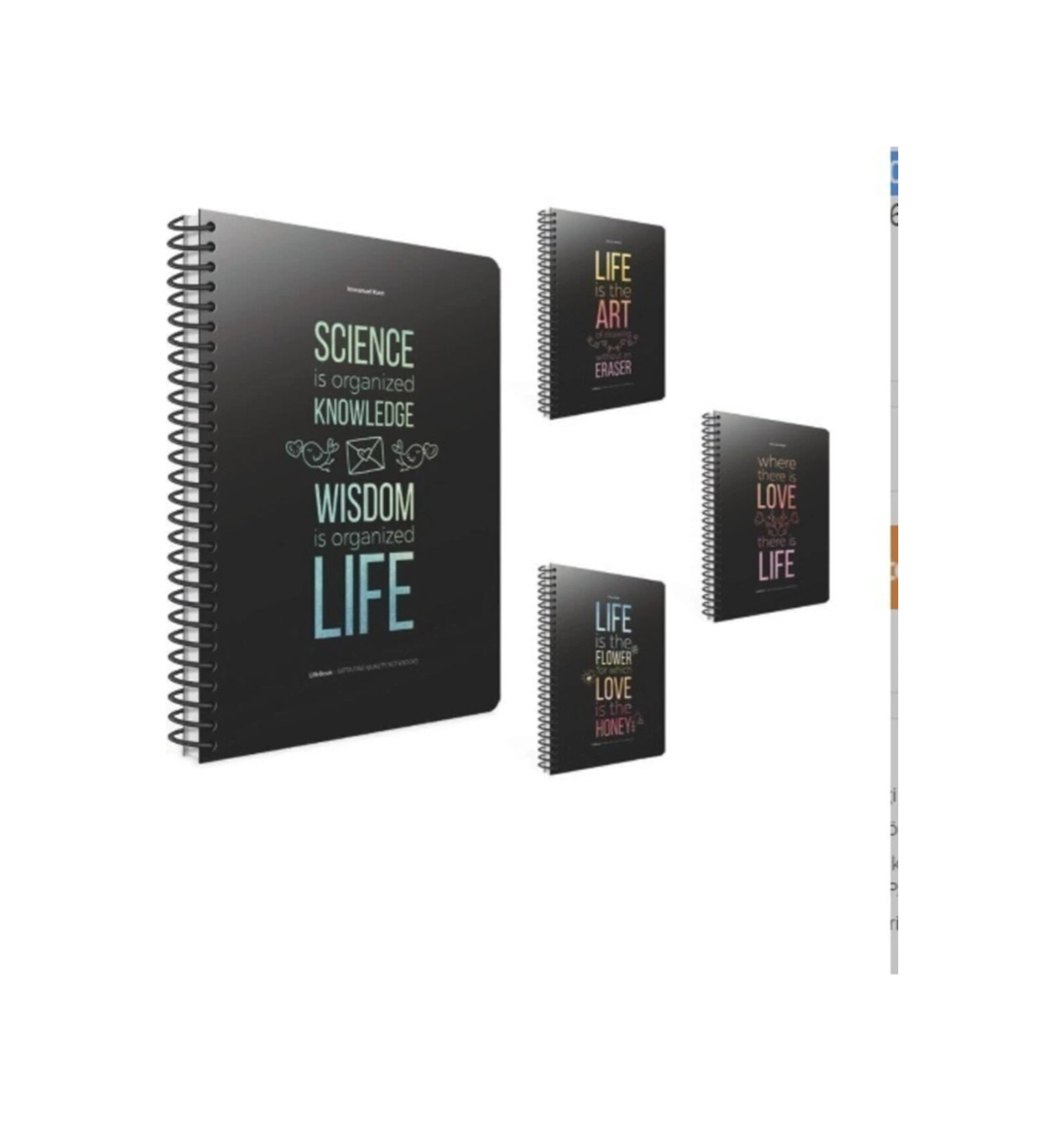 Life Book 19x26 100 Yaprak Çizgili Karton Kapaklı Spiralli Defter 3 Adet Çizgili Diğer