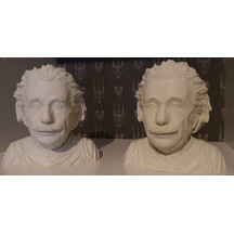 Albert Einstein Albert Eınsteın Büst 3D Baskı Figür Fıgure