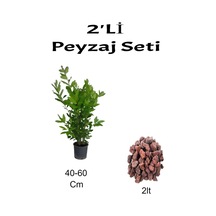 2'li Peyzaj Seti Defne Çalısı Fidanı+ Curf
