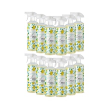 Green Lora 80 Derece Aloe Vera ve Gliserinli Limon Kolonyası Sprey Pet Şişe 1 L x 12