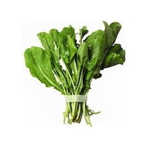 500 Adet Tohum Organik Hobi Bahçe Balkon İzmir Rokası Tohumu Saks