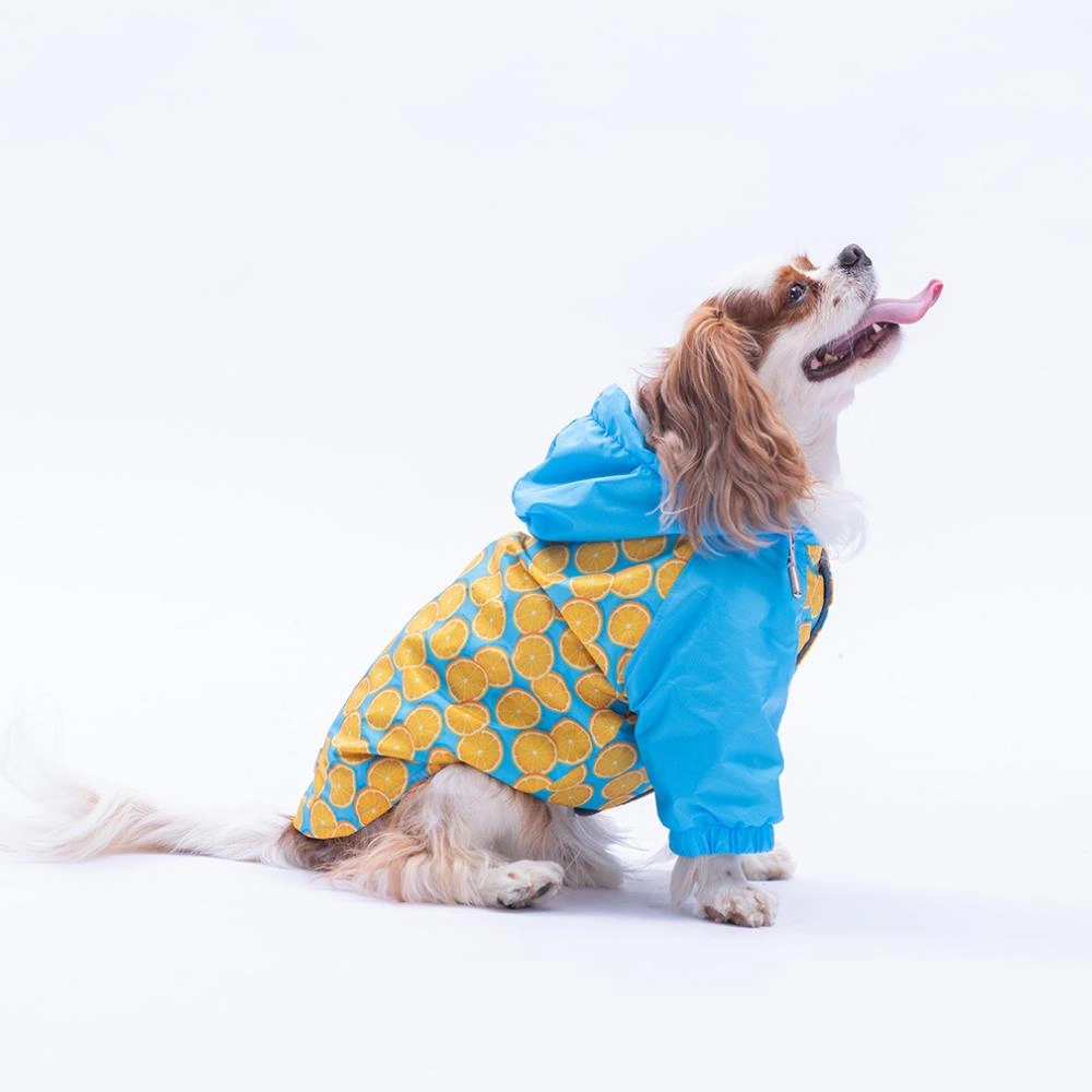 Nice Citrus Narenciye Desenli Köpek Mont Köpek Yağmurluk Köpek Kıyafeti Köpek Elbisesi