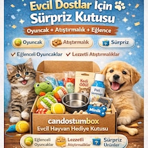 Candostumbox Evcil Hayvan Hediye Kutusu Oyuncak Ve Atıştırmalık