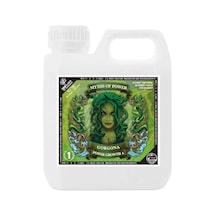Terra Power Gorgona Growth B 1 Litre