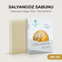 Ceramide Sabunu, Collagen Kolajen Np Ap Eop Cilt Bariyeri Sıkılaştırır Salyangoz Dna'lı Collegan Night Gece Yüz Temizleyicisi 1 Adet