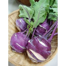 Mor Kohlrabi Alabaş Tohumu 100+ Tohum N116922