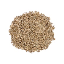 Sade Kanarya Yemi 10 KG