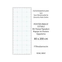 Postür Analiz Cetveli Mavi