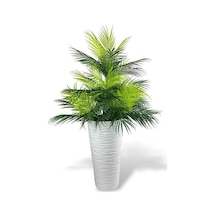 Yapay Çiçek Areka Salon Bitkisi Beyaz Uzun Kumsal Vazoda 130cm 45yaprak