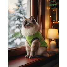 Yeşil Hanimiş Benim Tatlışım Baskılı Kedi Ve Köpek Kıyafeti Tişörtü Elbisesi Medium/m/beden 2