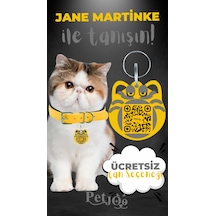 Petjoo 5.Jane Martinke Gri-Sarı Qr'lı Kedi Künyesi