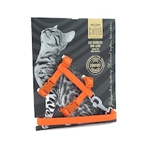 Cattie Kedi Göğüs & Gezdirme Takımı Turuncu 1x25-40cm