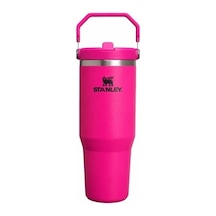 Koyu Pembe Renkli 0.89 Litre Termos İle Şık Tasarım 01