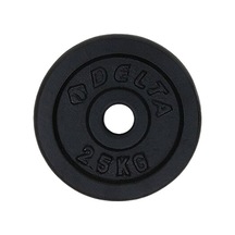 Delta 2,5 Kg Döküm Ağırlık