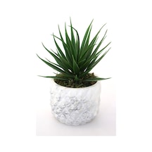 Yapay Çiçek Deposu Ananas Model Beton Saksıda Yapay Sukulent Tanzimi 19cm