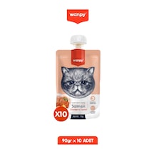 10lu Taze Somonlu & Tavuklu Kedi Et Ezmesi 10 X 90 Gr