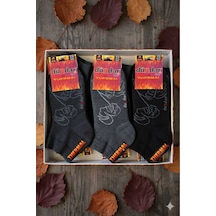 Unisex Havlu Thermal Patik Çorap Dikişsiz/soft Yıkama/kokulu Asorti 12'li Paket Siyah