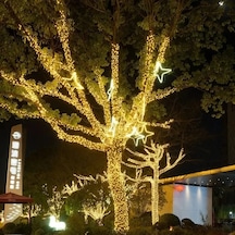 100 Metre Dekoratif Led 220 Prize Takılan 480 Led 8 Mod Gün Işığı