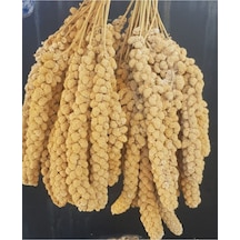 Sarı Dal Darı 250 Gr Sarı Dal Darı Sarı Daldarı 250 Gr Diğer