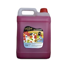 Luxor Kimya Tutti Frutti Ev Oto Kokusu 5 Lt
