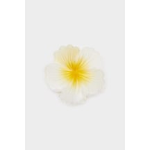 Defacto Kadın Beyaz Lotus Mandal Toka F4962AXNS