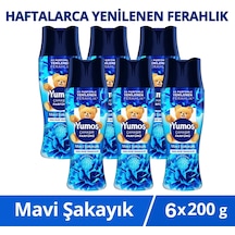 6'lı Set