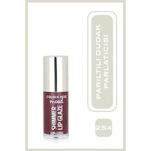 Shimmer Lip Glaze Lipgloss No:254 Spark - Renkli Dudak Parlatıcısı Diğer