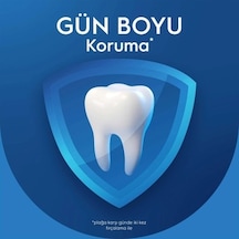 75 Ml Nane Aromalı Koruyucu Diş Macunu, Pro-expert