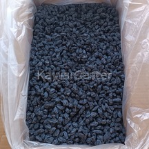10 KG
