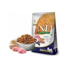 Ancestral Grain Kuzulu Yaban Mersinli Küçük Irk Düşük Tahıllı Yetişkin Köpek Maması 2,5 Kg