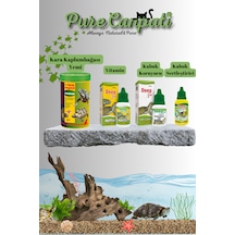 Purecanpati Kara Kaplumbağası Herbivor Yem,vitamin,turti Clean Je