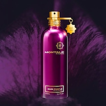 Dark Purple Edp 100ml Diğer