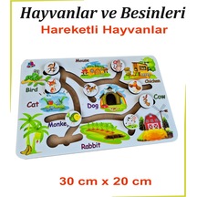 Beyaz Hareketli Hayvanlar Ve Besinleri