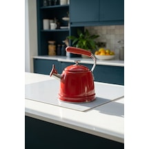 Teatime Paslanmaz Çelik Düdüklü Su Isıtıcısı Kırmızı - 3 L Diğer